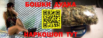 индика Вышний Волочёк