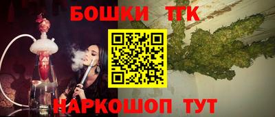 индика Вышний Волочёк