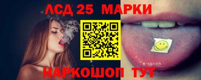 индика Вышний Волочёк